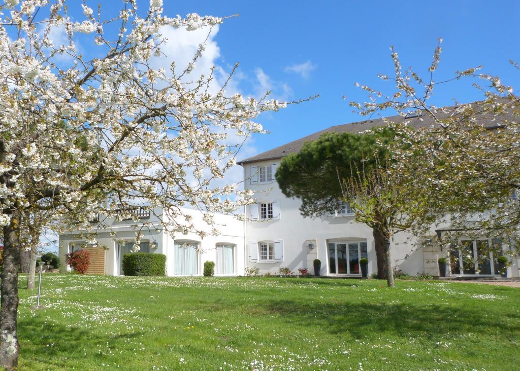 Logis Hotel Restaurant Des Chateaux Azay-le-Rideau Bagian luar foto